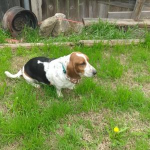 Meet your Posher, Layla